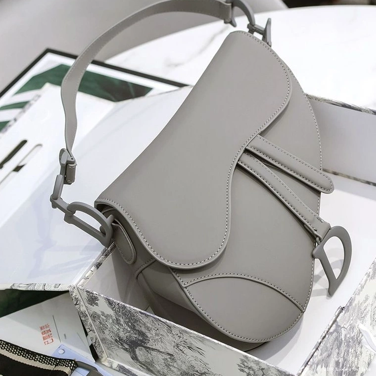Cheap Grey Saddle Bag Dior Calfskin Ultramatte 0725 Luxury